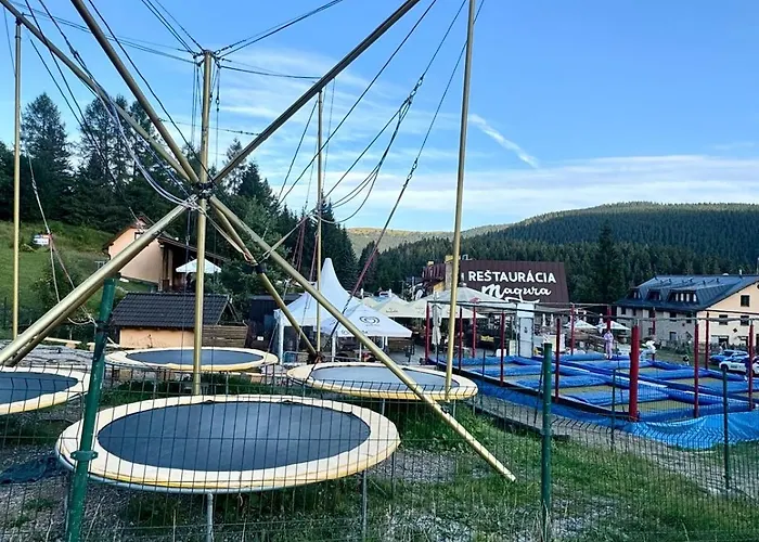 Kamzik Teo Apartment Donovaly